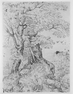 Group of Trees with Goats (Copy)