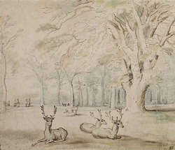 The Deer Park of the Chateau of Mariemont