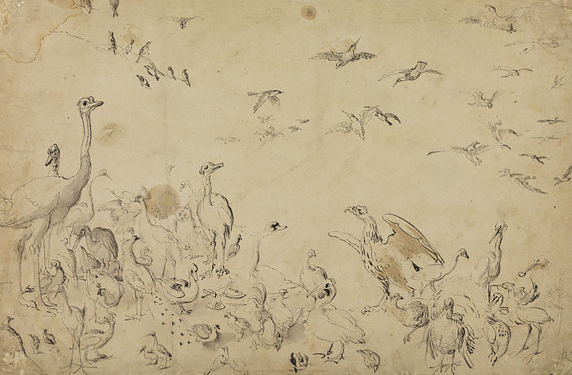 Birds for an Allegory of Air