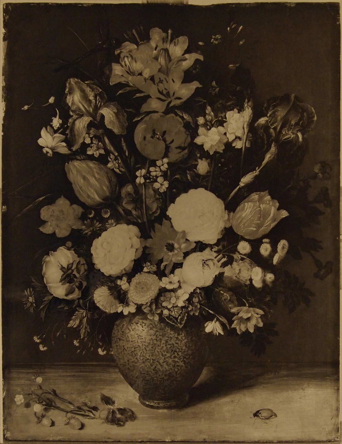 Bouquet with Mourning Iris in a Stoneware Vase (Cologne)