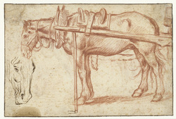 Horse with Cart and Horse Head