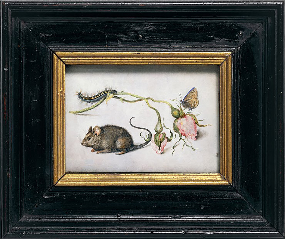 Mouse, Rose, and Butterfly (Milan)