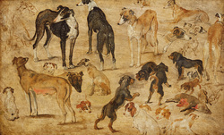 Oil Sketch of Dogs