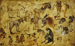 Oil Sketch of Monkeys, Donkeys, and Cats